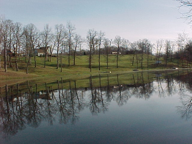 View of Arlyn's lake