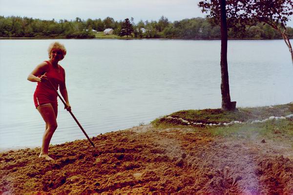 Barb raking the sand?