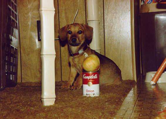 Onion Soup and his namesakes