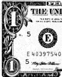 Examining a one-dollar bill